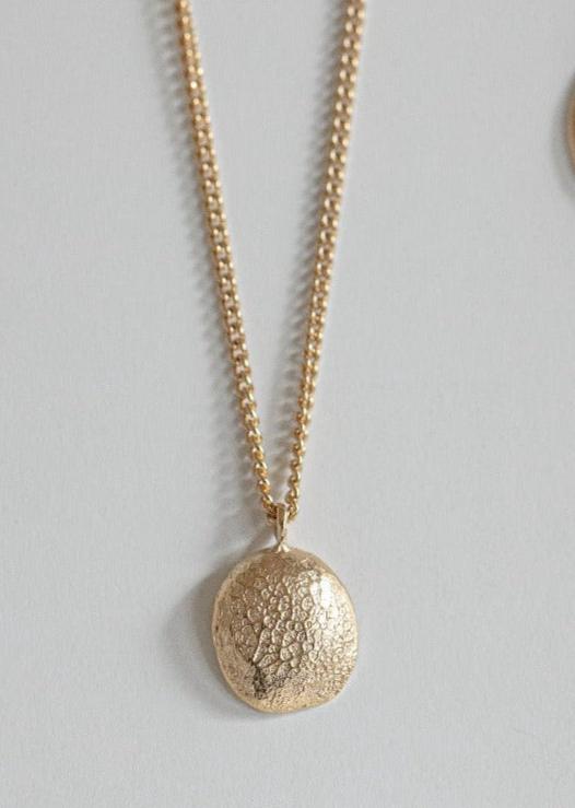 Pendant | Dog Nose or Paw Impression DIY Kit