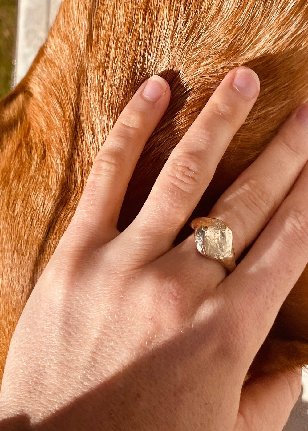 Ring | Dog Nose or Paw Impression DIY Kit