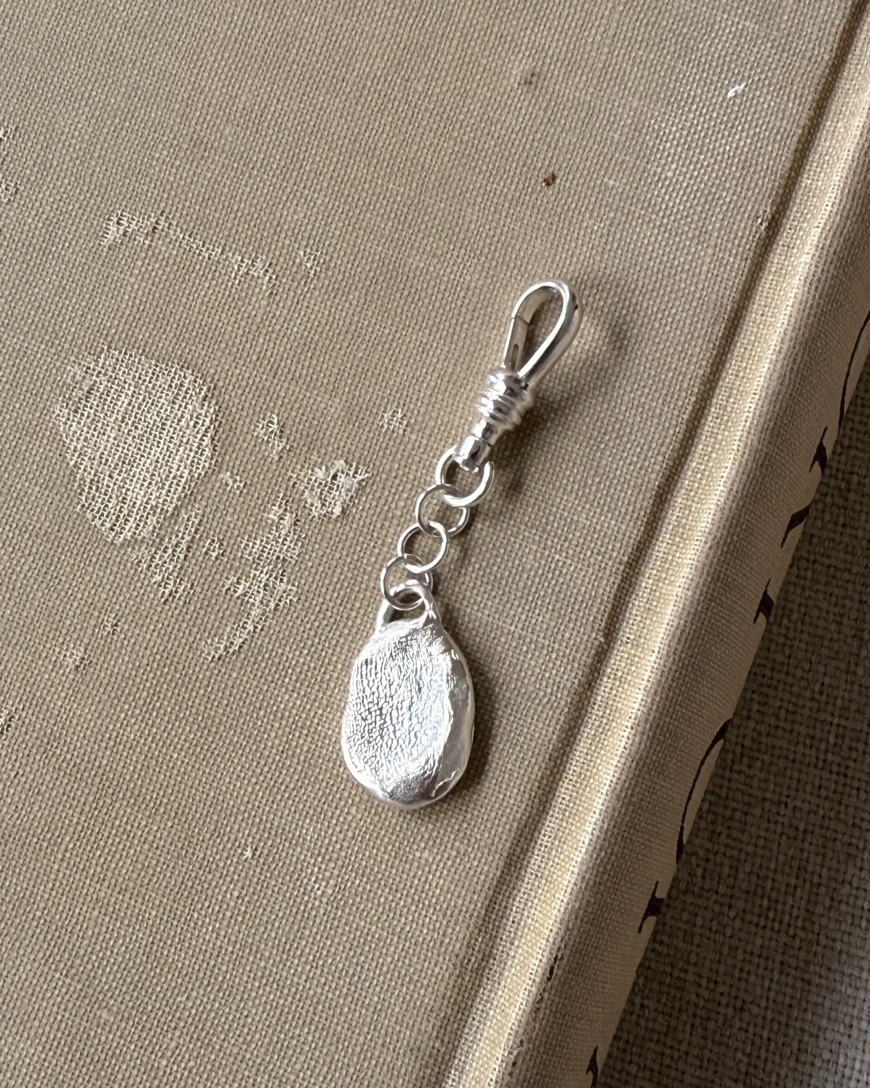 Keychain | Dog Nose or Paw Wax Impression Kit