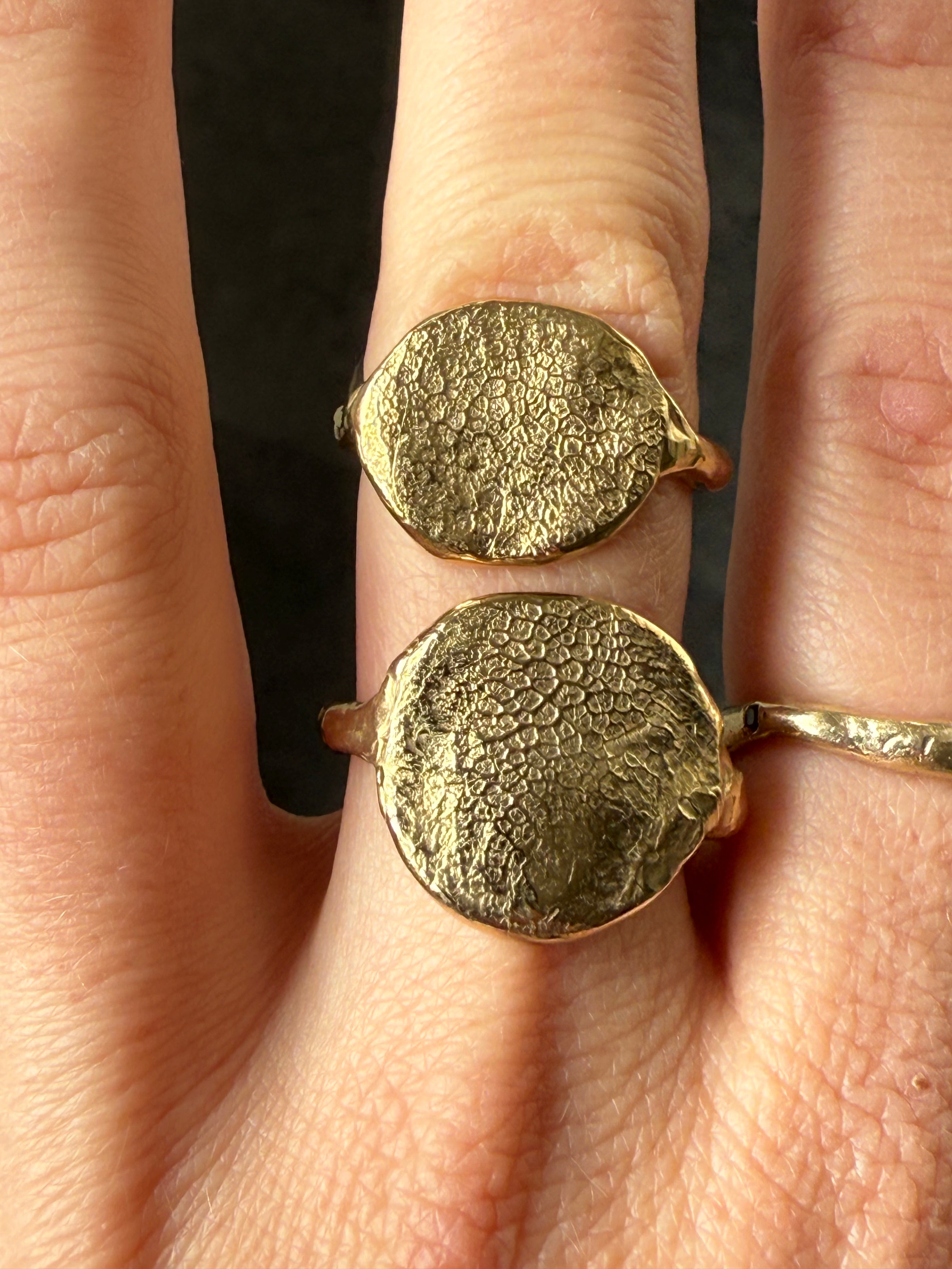 Ring | Dog Nose or Paw Impression DIY Kit