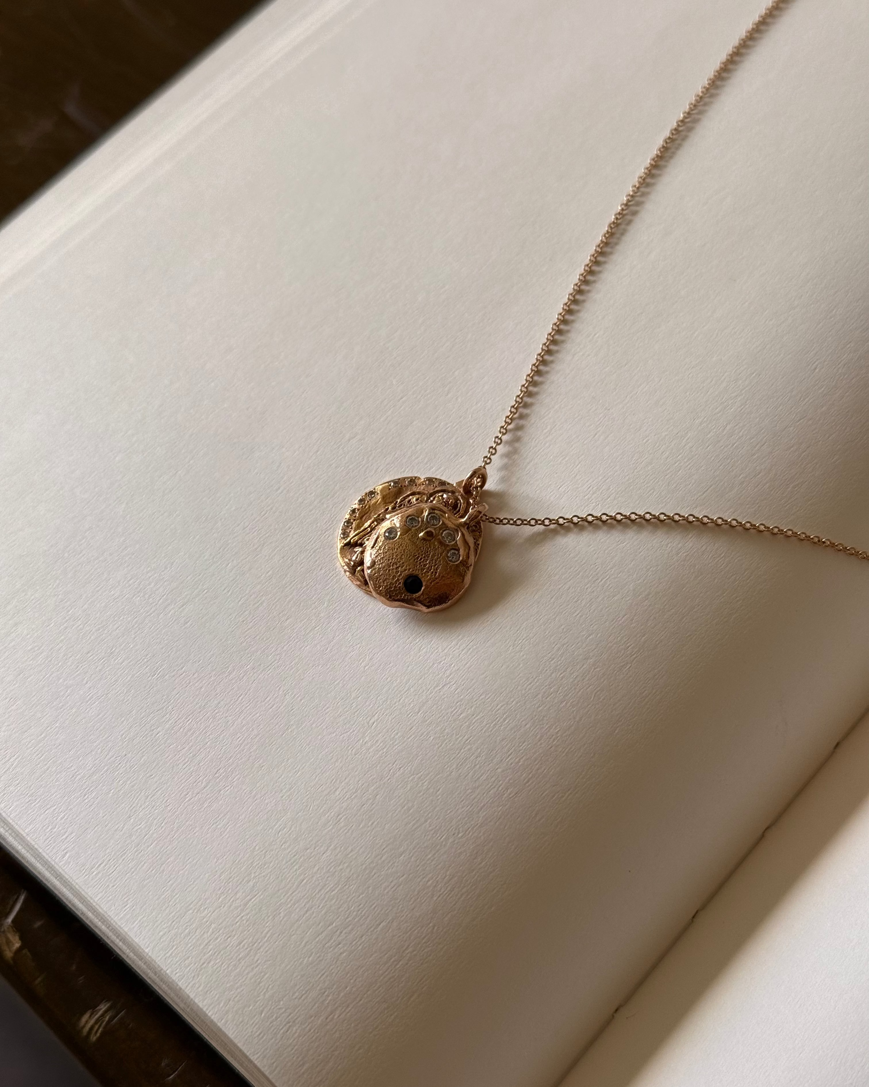 Necklace | Dog Nose or Paw Wax Impression Kit