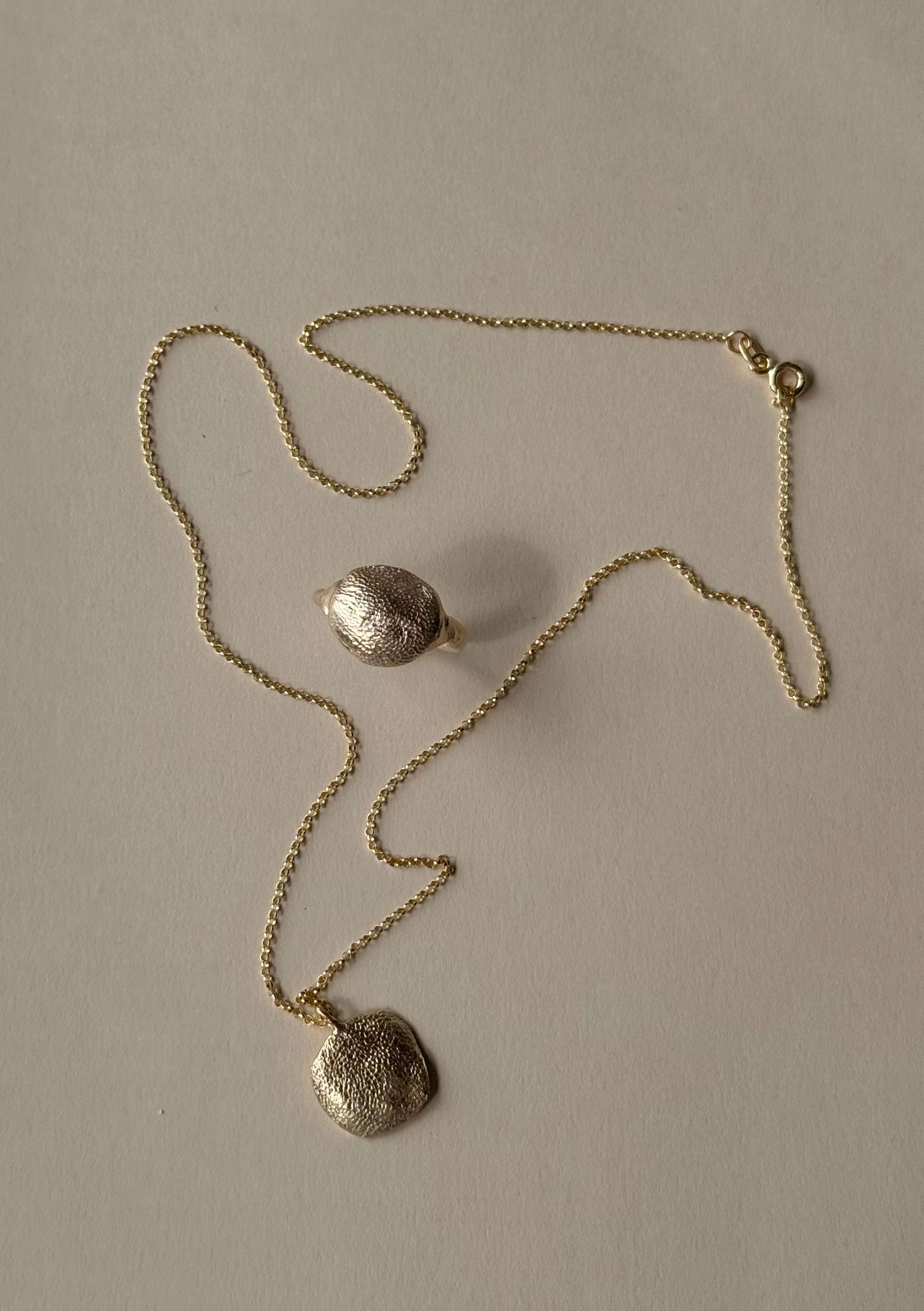 Necklace | Dog Nose or Paw Impression DIY Kit