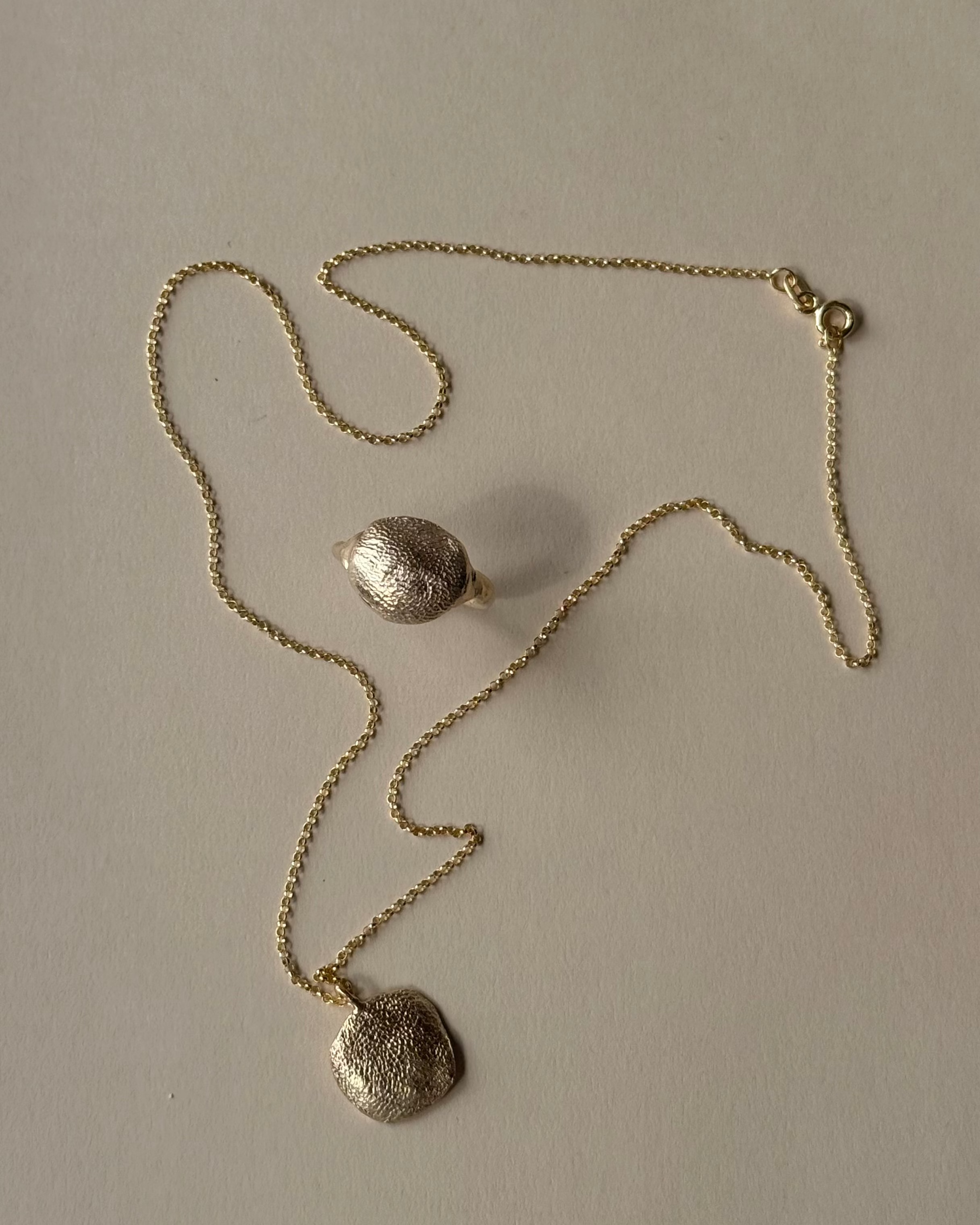 Necklace | Dog Nose or Paw Wax Impression Kit
