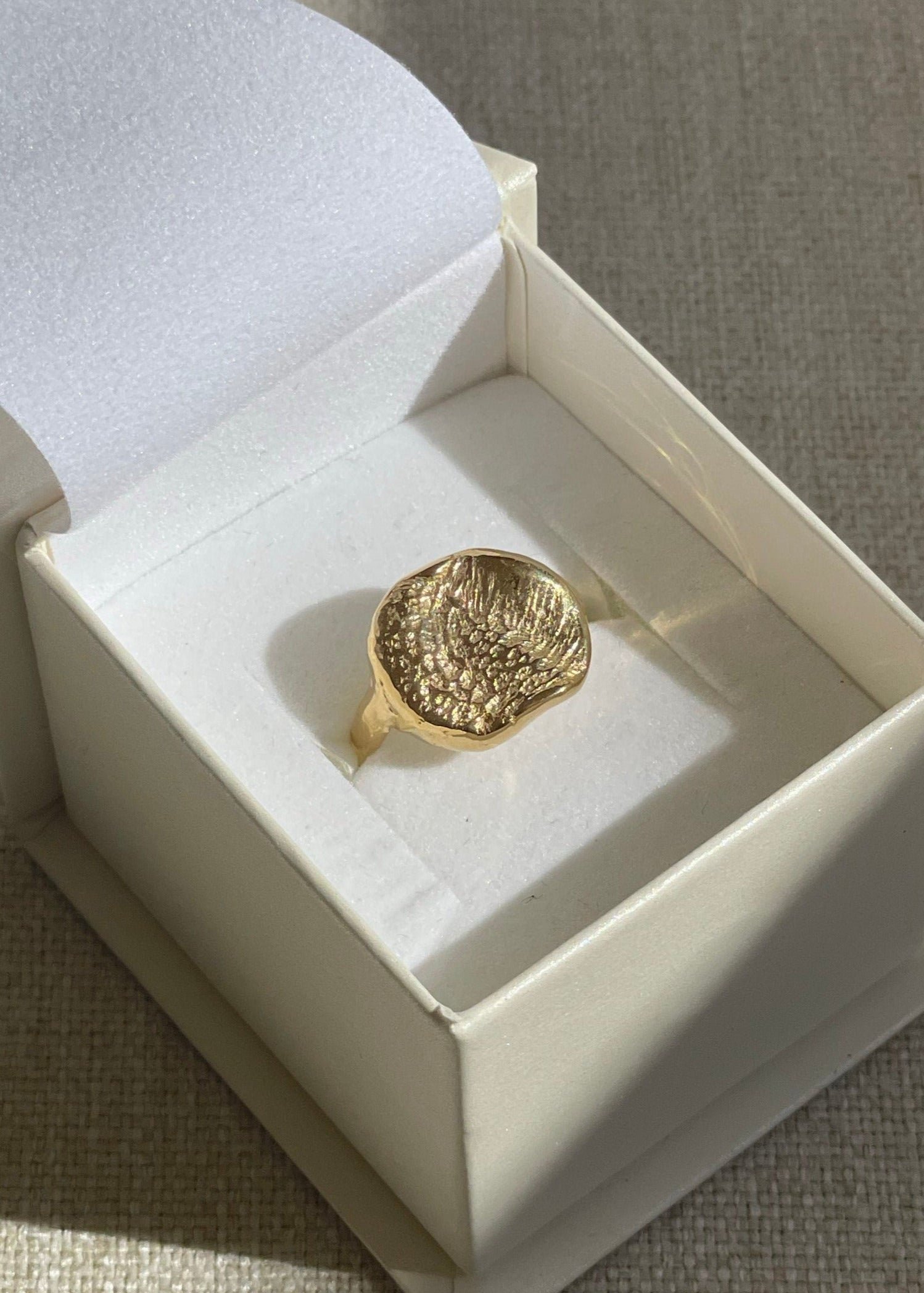 Ring | Dog Nose or Paw Wax Impression Kit