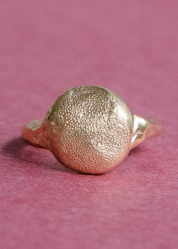 Ring | Dog Nose or Paw Wax Impression Kit