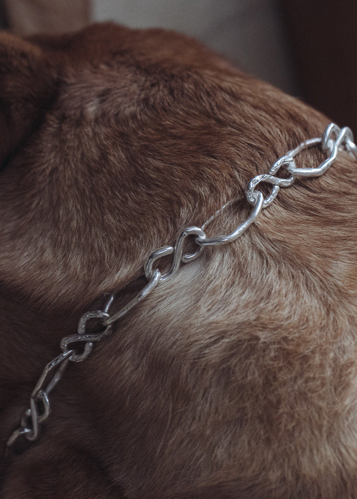 Close-up of a handcrafted sterling silver dog collar resting on brown dog fur, by RFL.