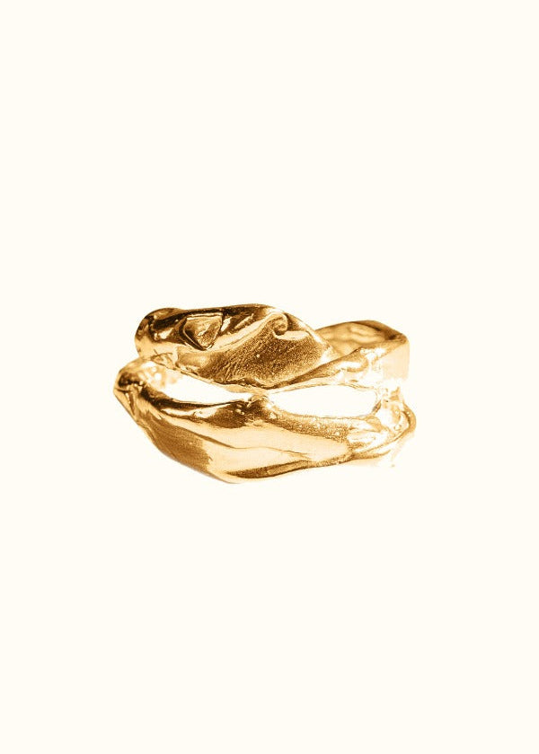 Wasted Ring Landfill Ring 01