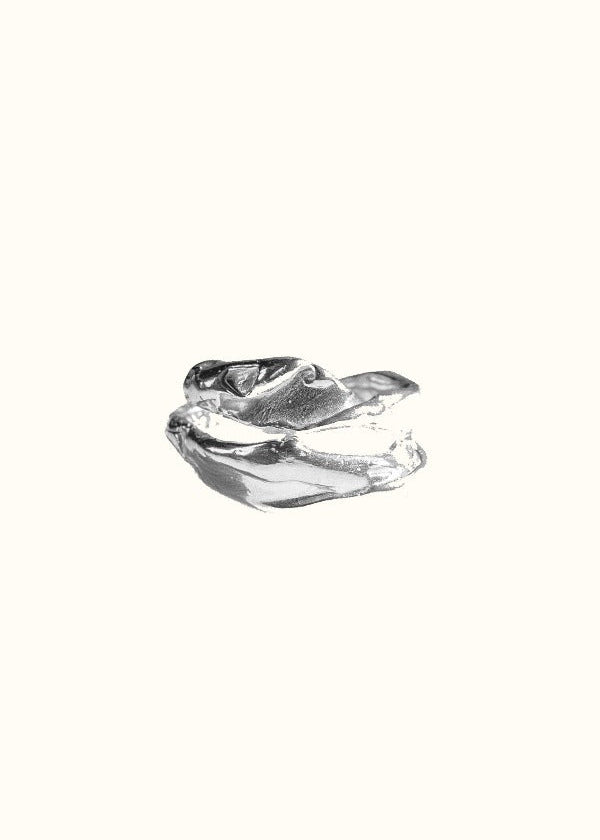 Landfill Ring 01
